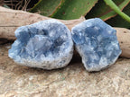Natural Blue Celestite Specimens x 4 From Sakoany, Madagascar