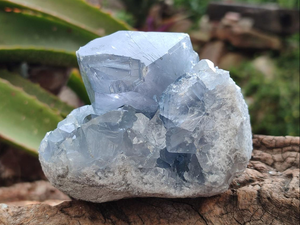 Natural Blue Celestite Specimens x 4 From Sakoany, Madagascar