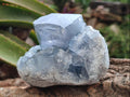 Natural Blue Celestite Specimens x 4 From Sakoany, Madagascar