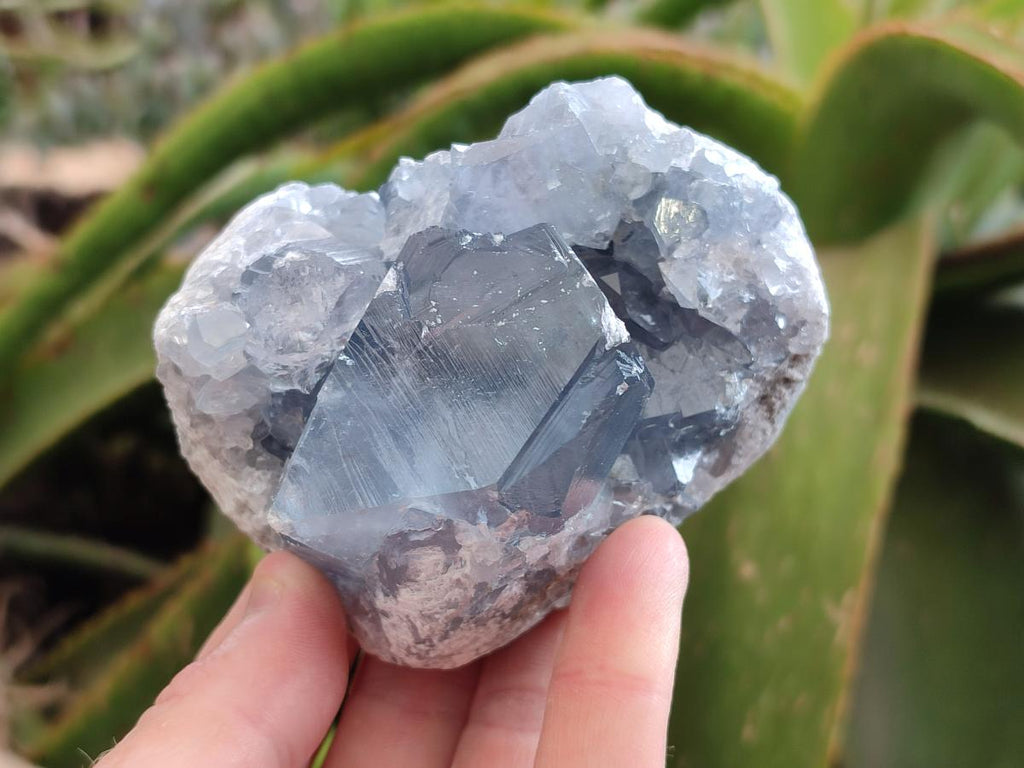 Natural Blue Celestite Specimens x 4 From Sakoany, Madagascar