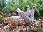 Natural Window Amethyst Crystals x 24 From Chiredzi, Zimbabwe