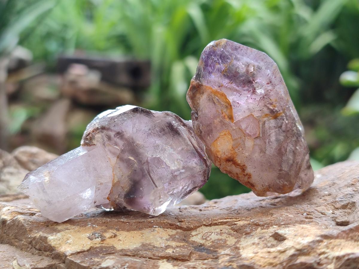 Natural Window Amethyst Crystals x 24 From Chiredzi, Zimbabwe