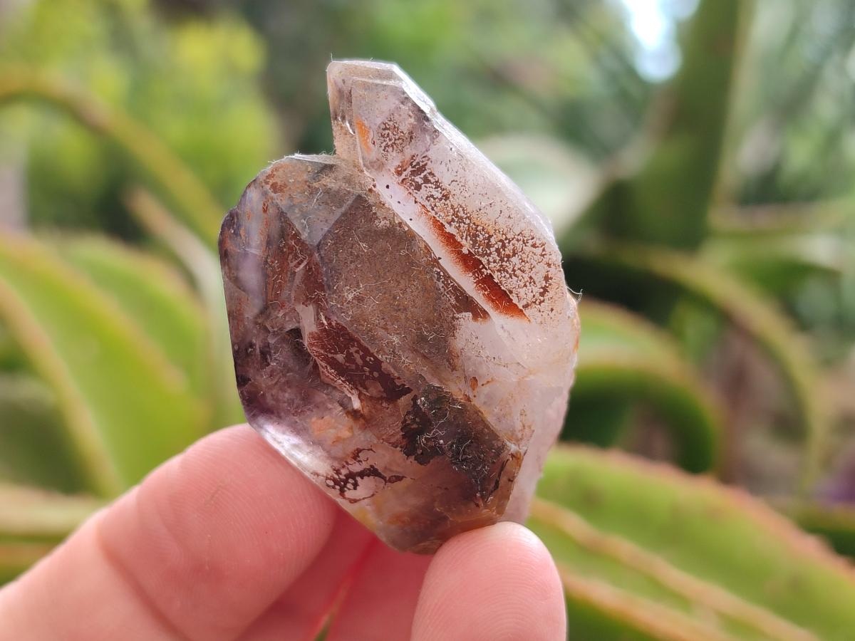 Natural Window Amethyst Crystals x 24 From Chiredzi, Zimbabwe