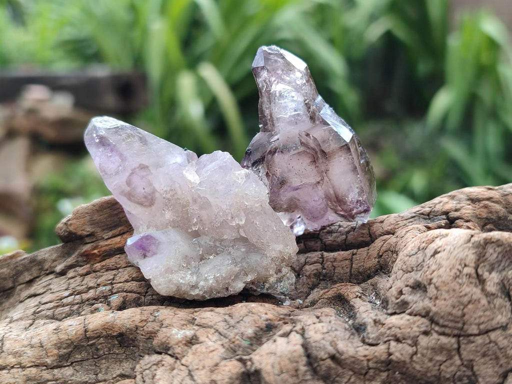 Natural Window Amethyst Crystals x 24 From Chiredzi, Zimbabwe