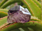 Natural Window Amethyst Crystals x 24 From Chiredzi, Zimbabwe