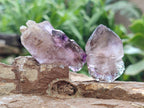 Natural Window Amethyst Crystals x 24 From Chiredzi, Zimbabwe