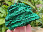 Natural Silky Malachite Specimens x 5 From Kasompe, Congo