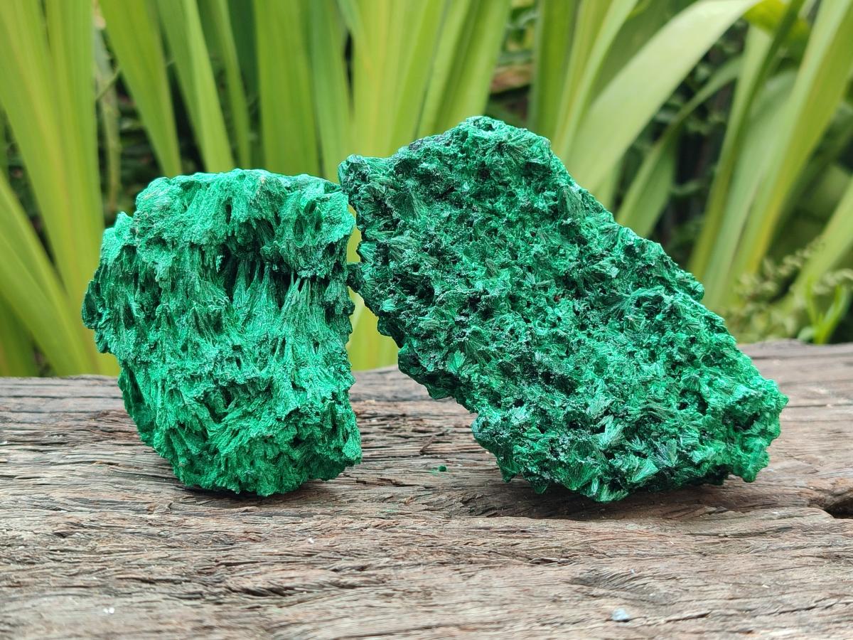 Natural Silky Malachite Specimens x 5 From Kasompe, Congo