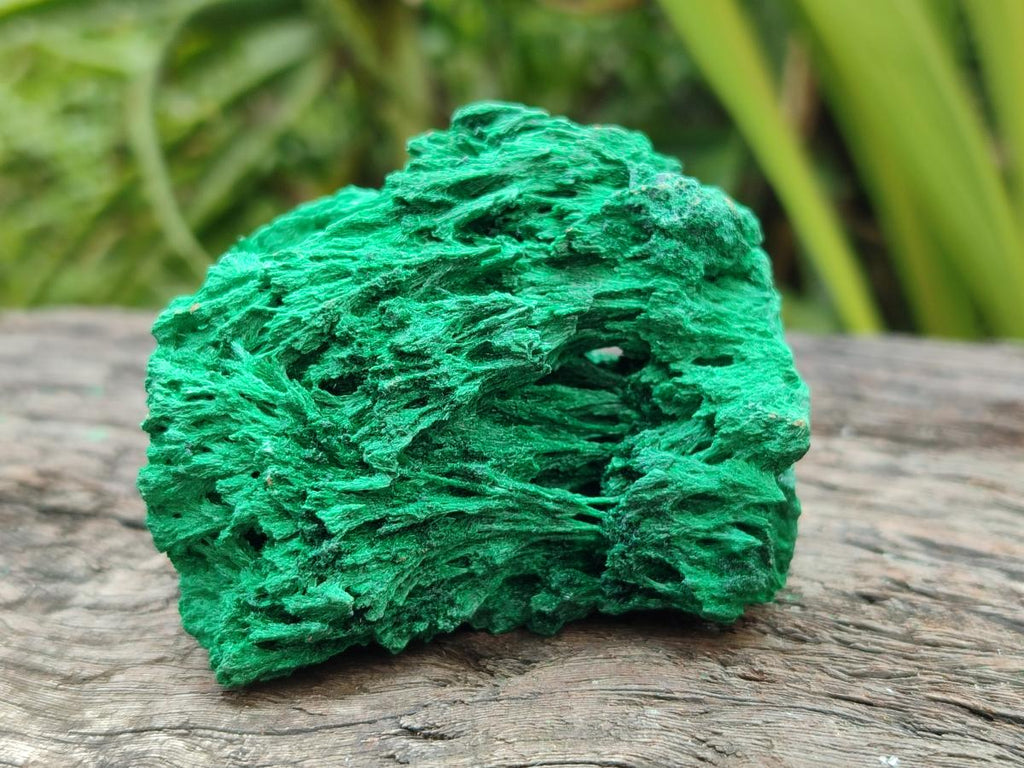 Natural Silky Malachite Specimens x 5 From Kasompe, Congo