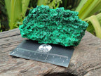 Natural Silky Malachite Specimens x 5 From Kasompe, Congo