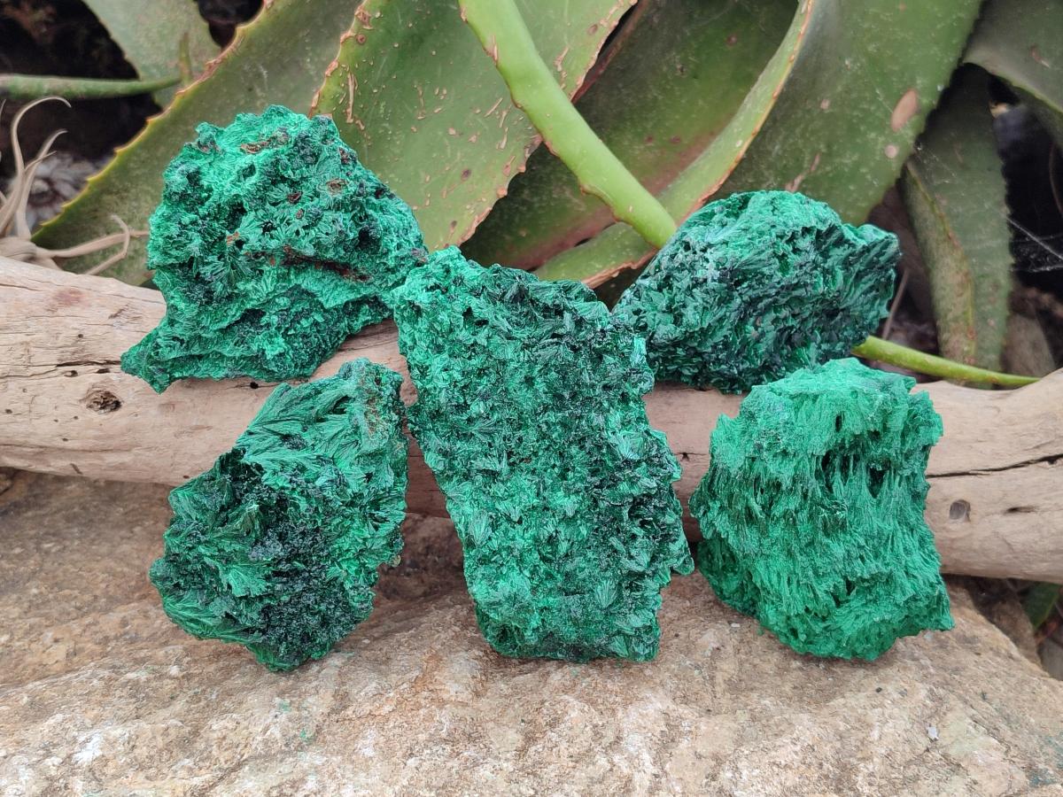 Natural Silky Malachite Specimens x 5 From Kasompe, Congo