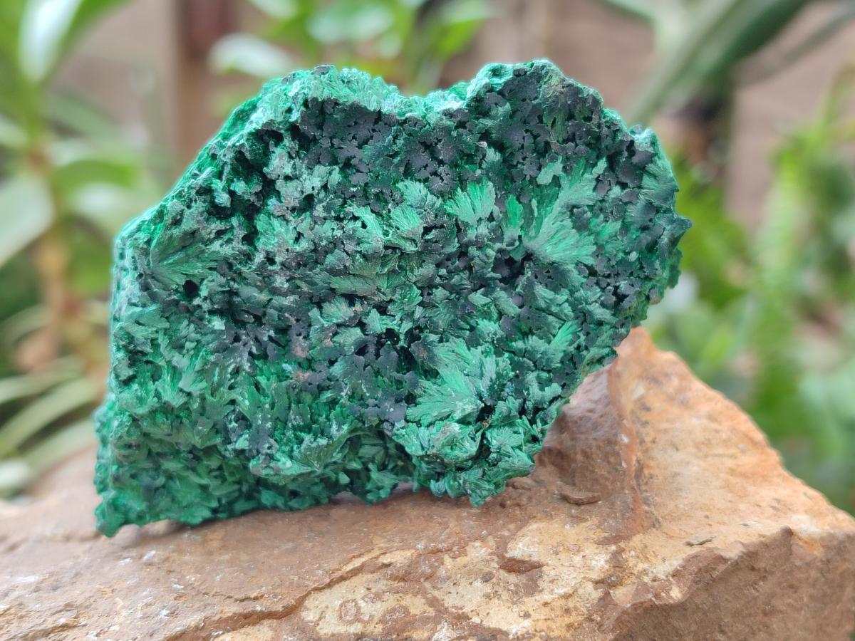 Natural Silky Malachite Specimens x 5 From Kasompe, Congo
