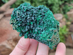 Natural Silky Malachite Specimens x 5 From Kasompe, Congo