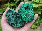 Natural Silky Malachite Specimens x 5 From Kasompe, Congo