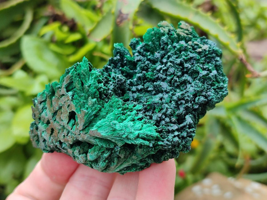 Natural Silky Malachite Specimens x 5 From Kasompe, Congo