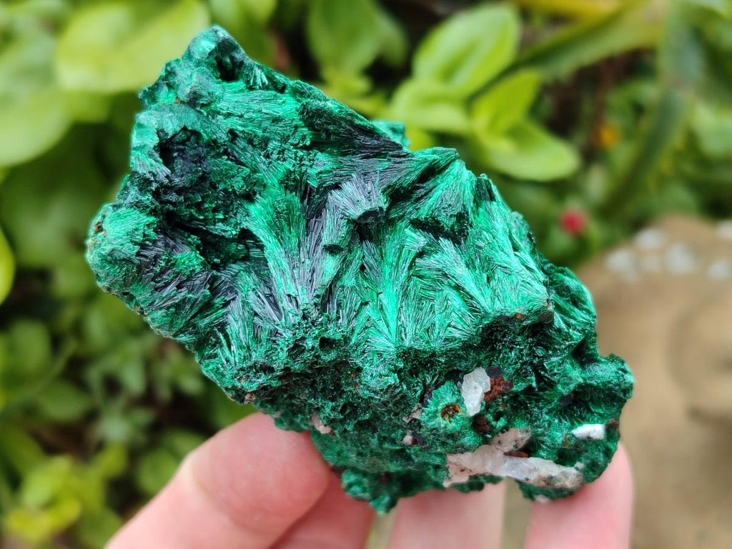 Natural Silky Malachite Specimens x 5 From Kasompe, Congo
