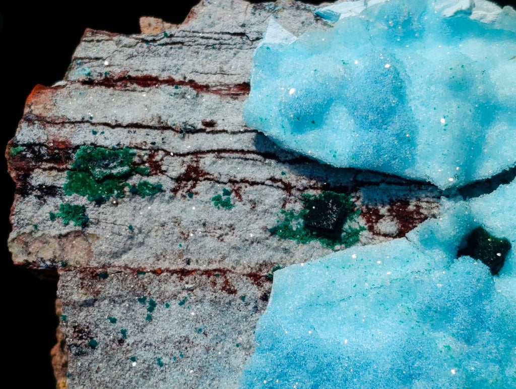 Natural Drusy Coated Chrysocolla with Malachite Specimens x 2 From Lupoto Mine, Congo