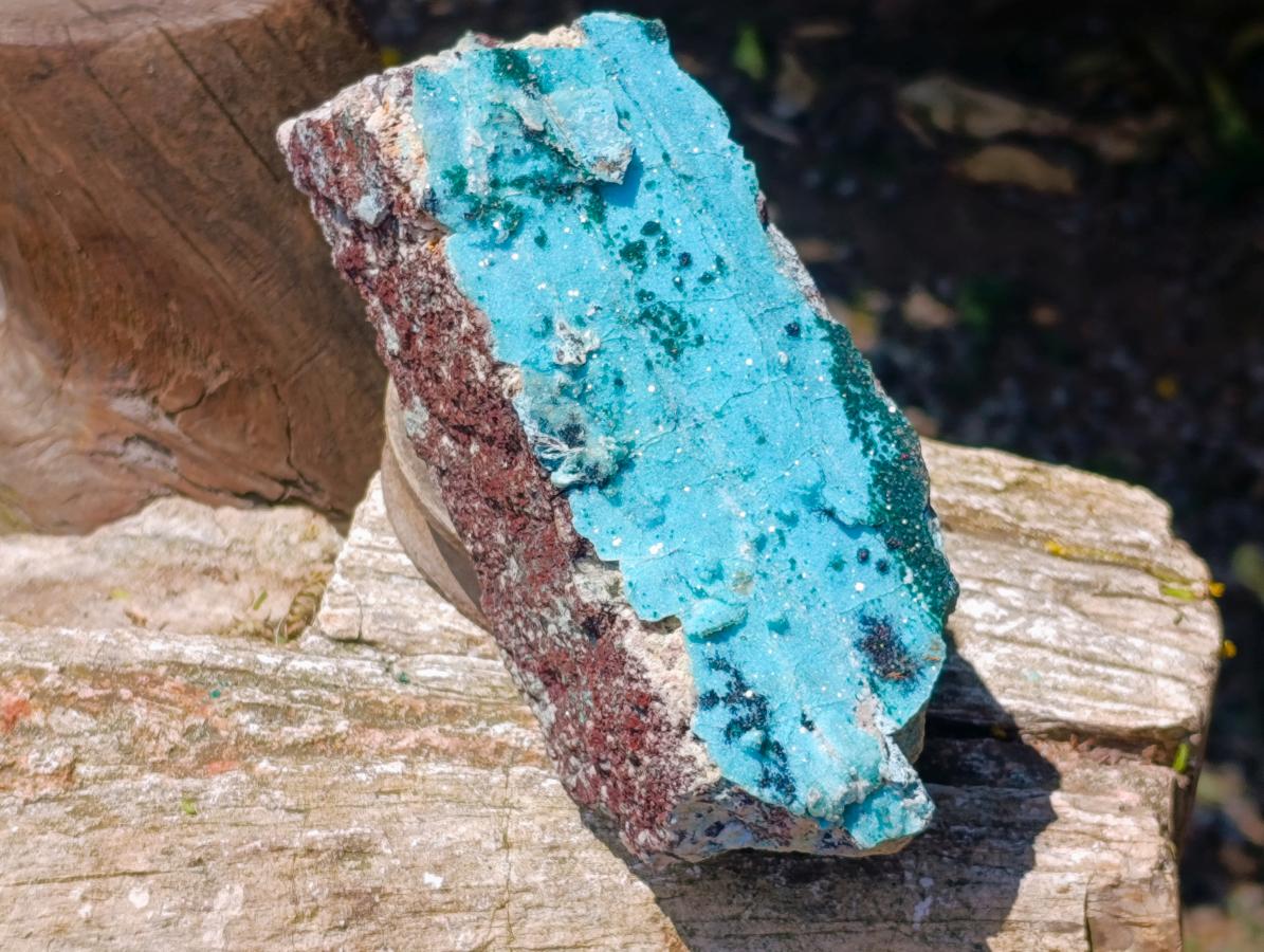 Natural Drusy Coated Chrysocolla with Malachite Specimens x 2 From Lupoto Mine, Congo