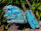 Natural Drusy Coated Chrysocolla with Malachite Specimens x 2 From Lupoto Mine, Congo