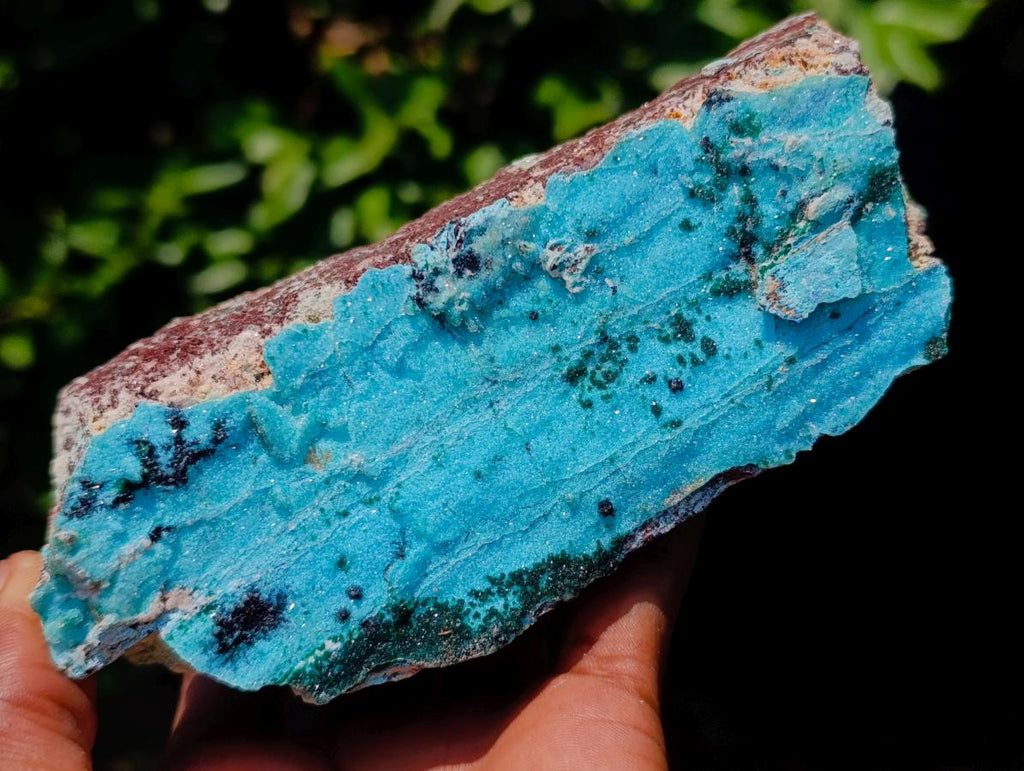 Natural Drusy Coated Chrysocolla with Malachite Specimens x 2 From Lupoto Mine, Congo