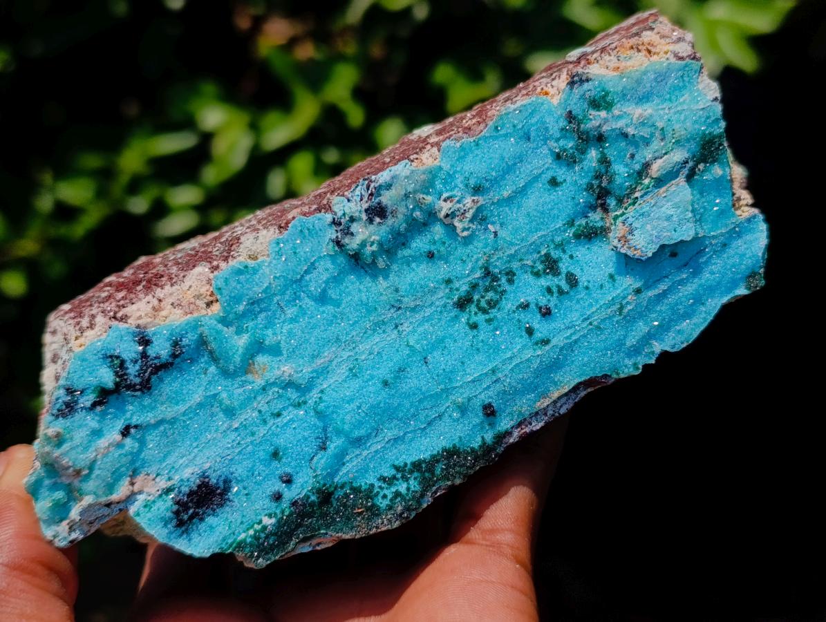 Natural Drusy Coated Chrysocolla with Malachite Specimens x 2 From Lupoto Mine, Congo