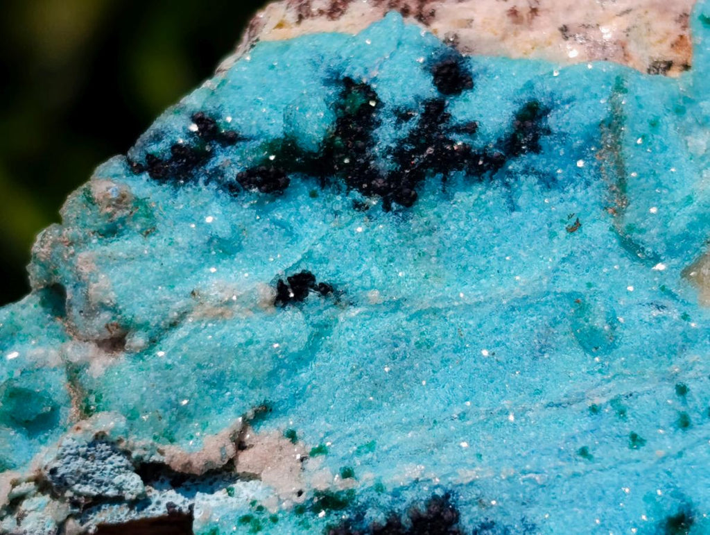 Natural Drusy Coated Chrysocolla with Malachite Specimens x 2 From Lupoto Mine, Congo