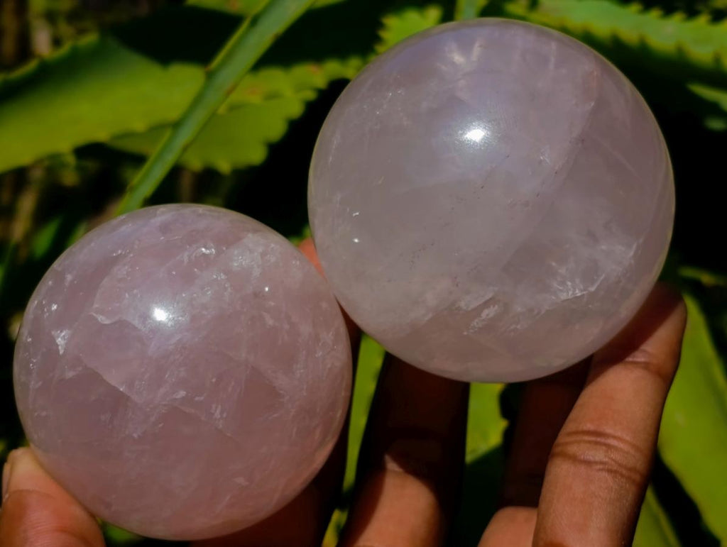 Polished Small Gemmy Star Rose Quartz Spheres x 6 From Madagascar