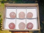 Polished Small Gemmy Star Rose Quartz Spheres x 6 From Madagascar