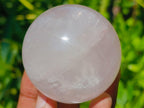 Polished Small Gemmy Star Rose Quartz Spheres x 6 From Madagascar