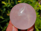 Polished Small Gemmy Star Rose Quartz Spheres x 6 From Madagascar