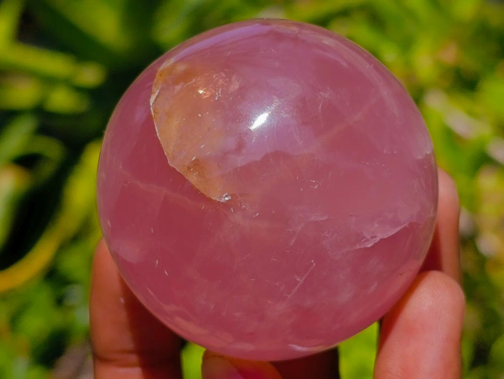 Polished Small Gemmy Star Rose Quartz Spheres x 6 From Madagascar