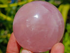 Polished Small Gemmy Star Rose Quartz Spheres x 6 From Madagascar