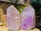 Polished Window Amethyst Crystals x 3 From Akansobe, Madagascar