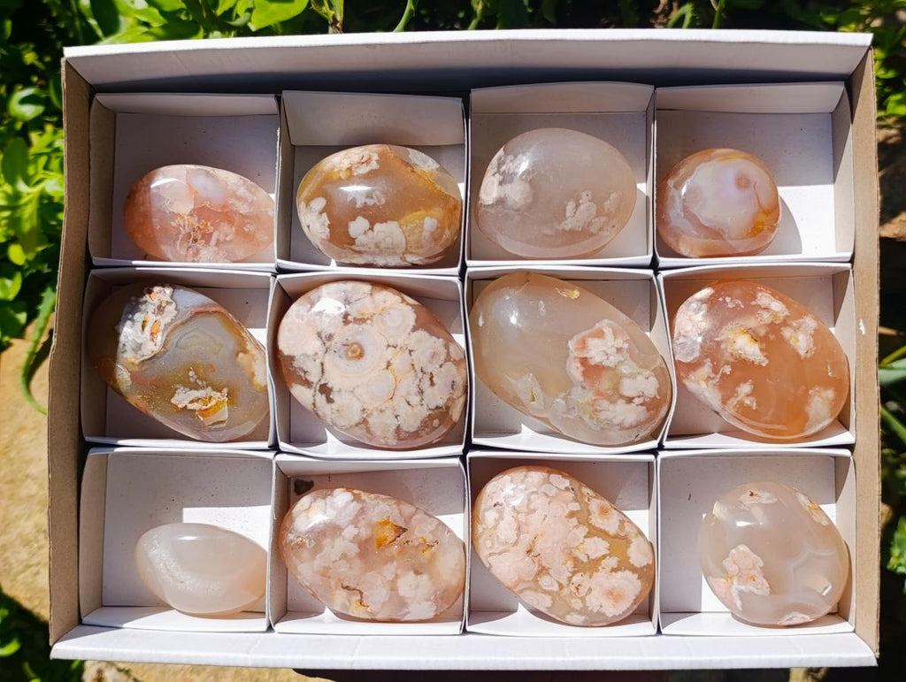 Polished Flower Agate Palm Stones x 12 From Antsahalova, Madagascar