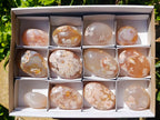 Polished Flower Agate Palm Stones x 12 From Antsahalova, Madagascar