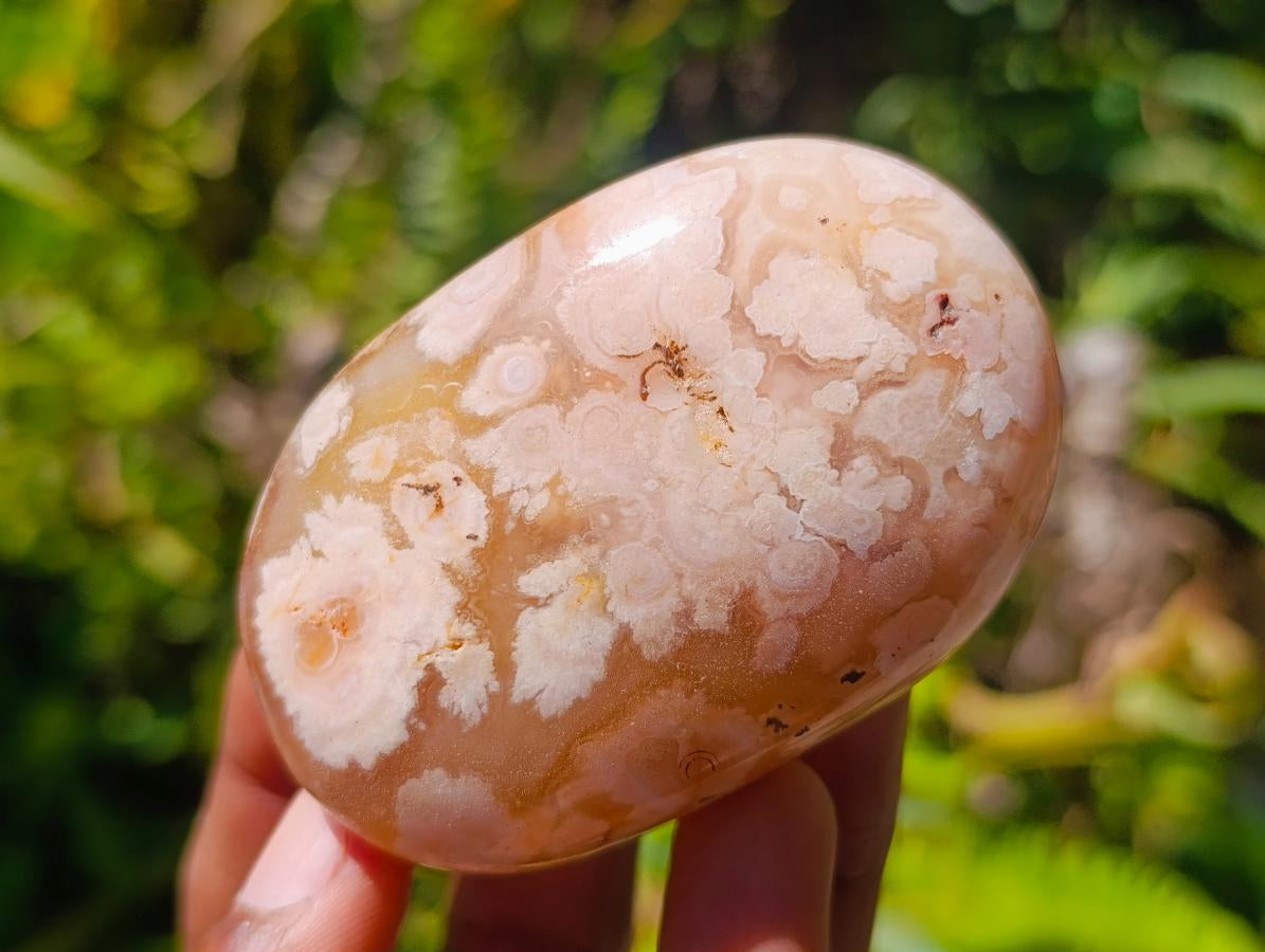 Polished Flower Agate Palm Stones x 12 From Antsahalova, Madagascar