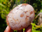 Polished Flower Agate Palm Stones x 12 From Antsahalova, Madagascar