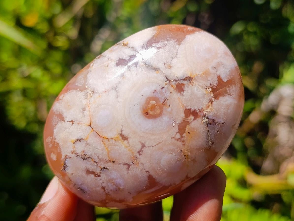 Polished Flower Agate Palm Stones x 12 From Antsahalova, Madagascar