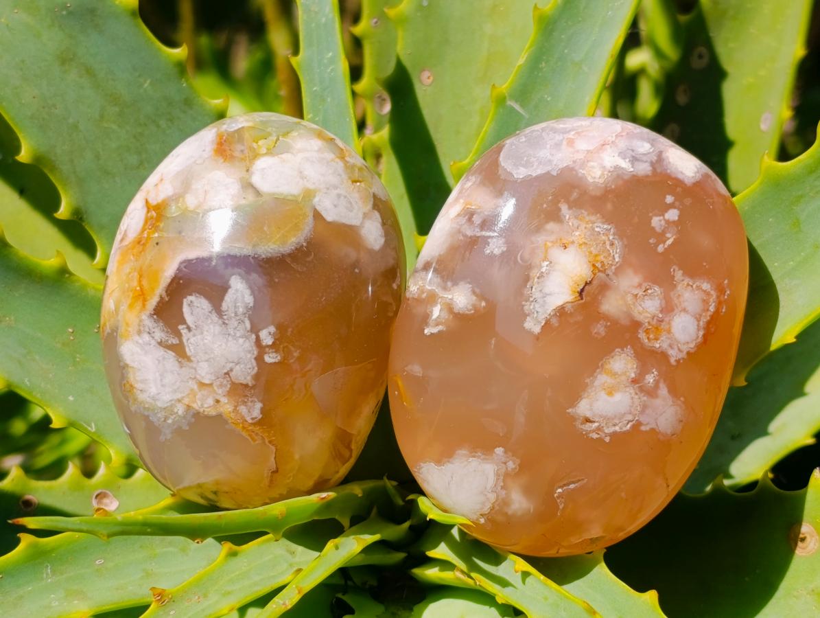 Polished Flower Agate Palm Stones x 12 From Antsahalova, Madagascar