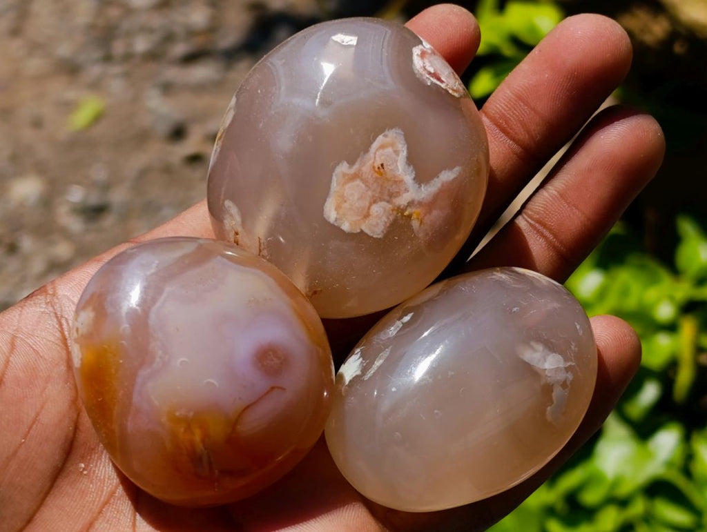 Polished Flower Agate Palm Stones x 12 From Antsahalova, Madagascar