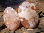 Polished Flower Agate Palm Stones x 12 From Antsahalova, Madagascar