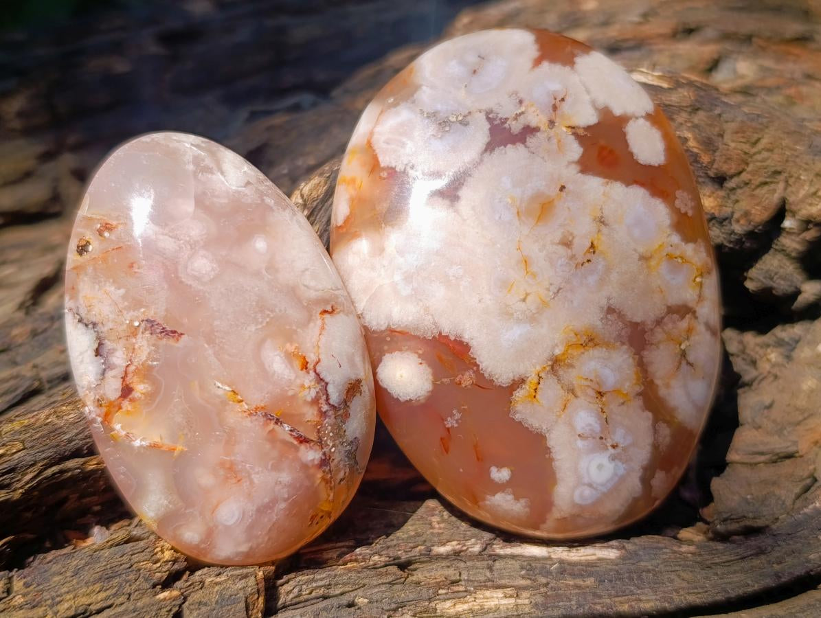 Polished Flower Agate Palm Stones x 12 From Antsahalova, Madagascar