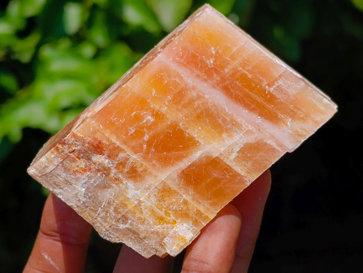 Natural Rhombohedral Sunset Orange Calcite Specimens x 12 From Spitzkop, Namibia