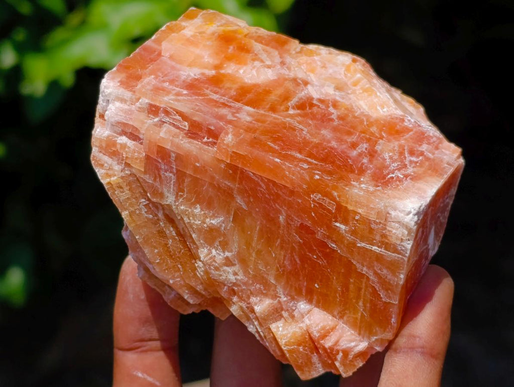 Natural Rhombohedral Sunset Orange Calcite Specimens x 12 From Spitzkop, Namibia