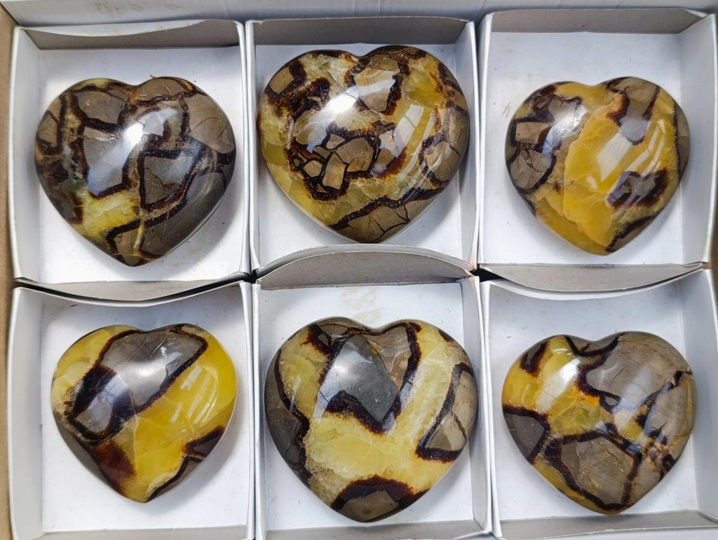Polished Septerye Hearts x 6 From Mahajanga, Madagascar