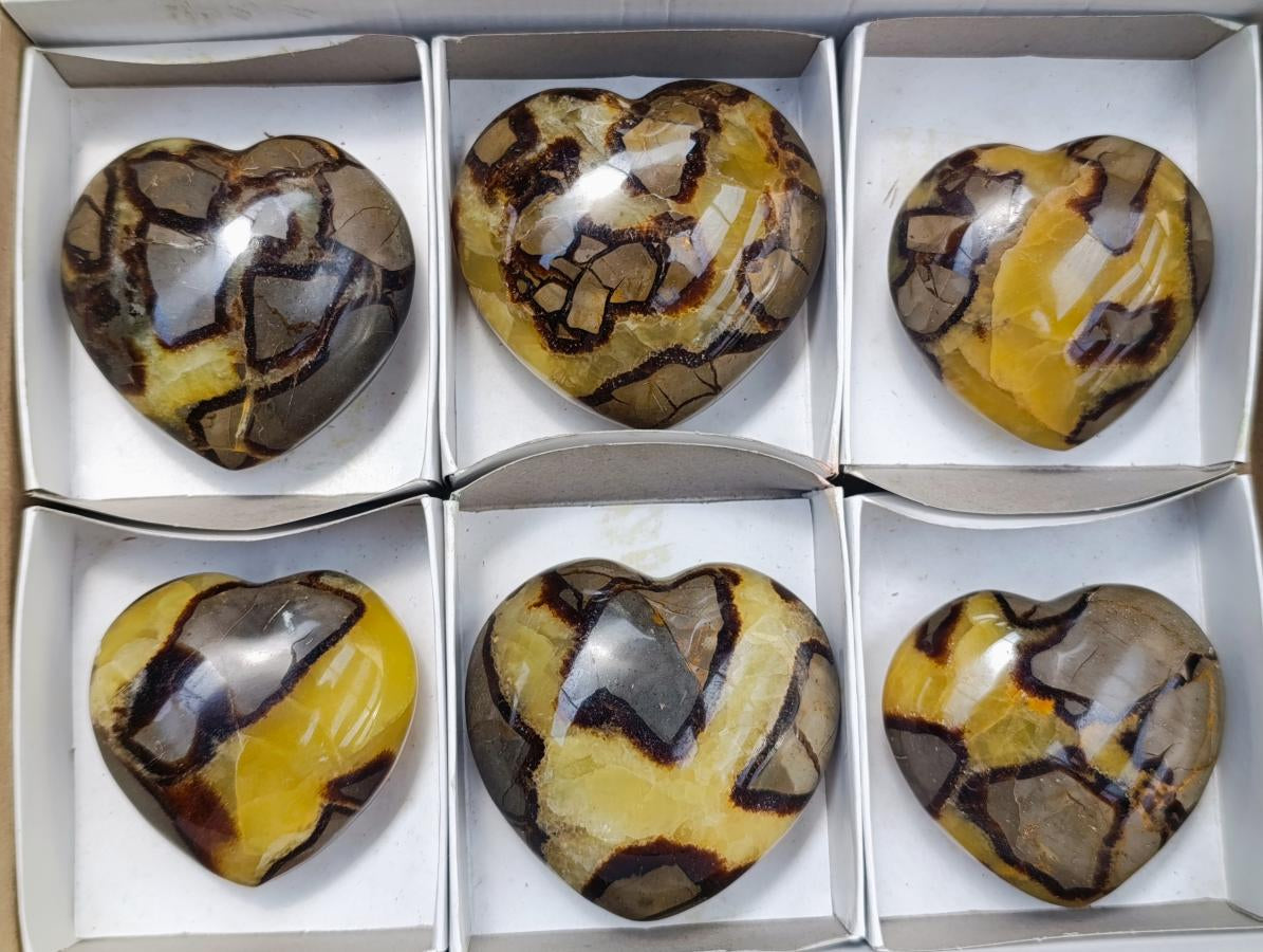Polished Septerye Hearts x 6 From Mahajanga, Madagascar