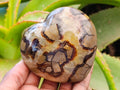 Polished Septerye Hearts x 6 From Mahajanga, Madagascar