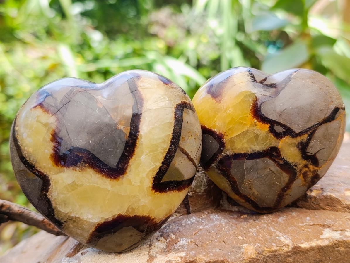 Polished Septerye Hearts x 6 From Mahajanga, Madagascar