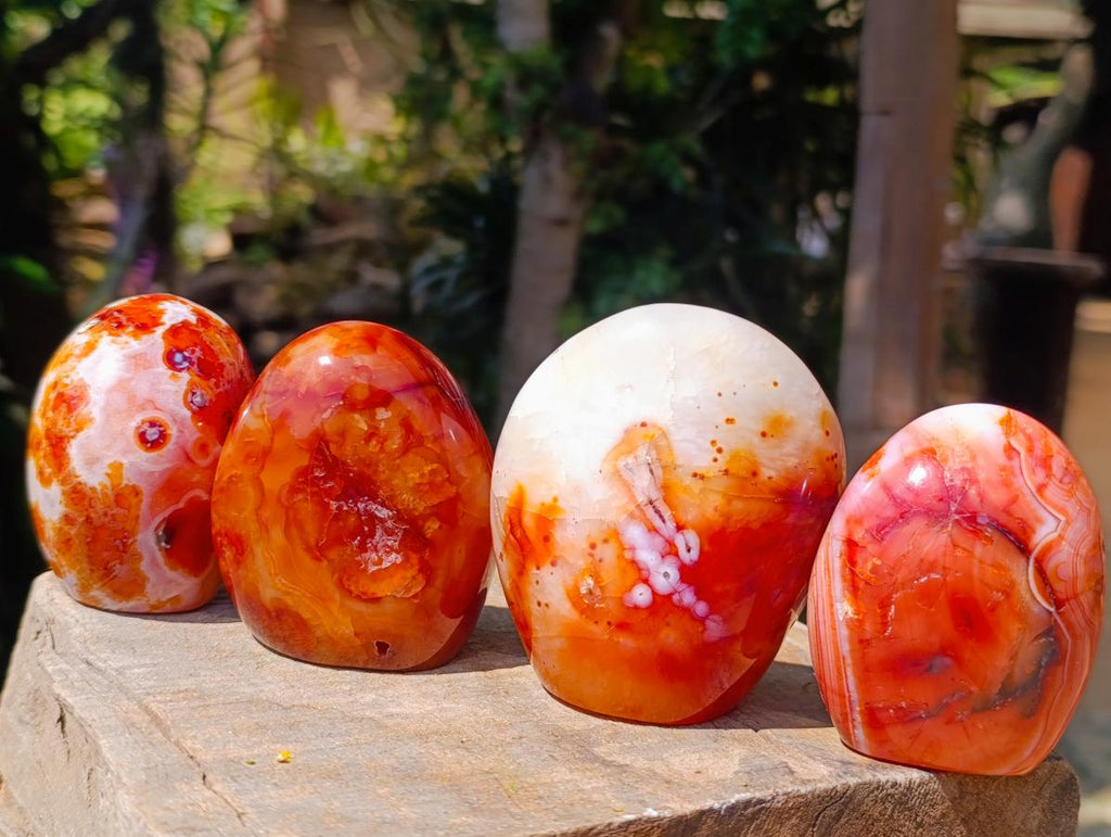 Polished Carnelian Agate Gemstone Standing Free Forms x 4 From Madagascar