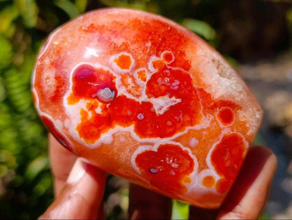 Polished Carnelian Agate Gemstone Standing Free Forms x 4 From Madagascar
